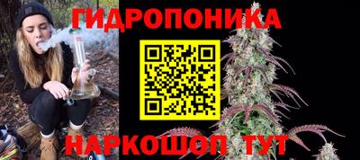 сатива Малгобек